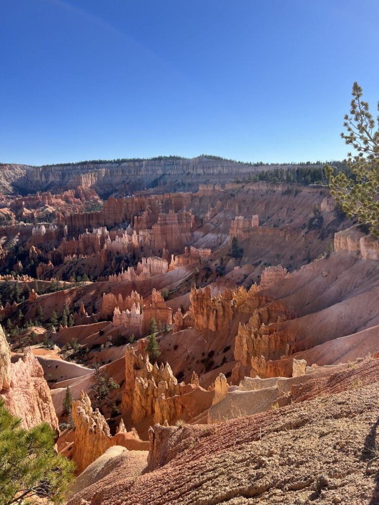 canyon-roches-rouges-ouest-americain