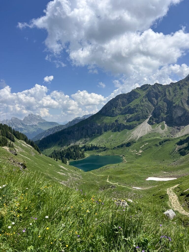 lac-alpin-panorama-montagnes-verdoyantes